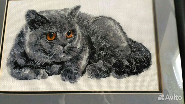 Кот вышивка картина