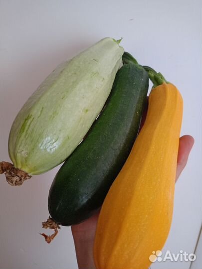 Огурцы домашние