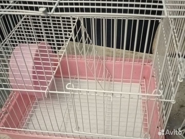 Клетки
