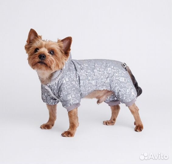 Комбинезон для собаки новый