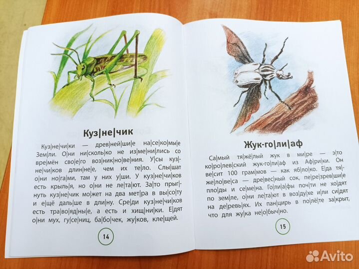 Познавательные тексты для чтения начинающим