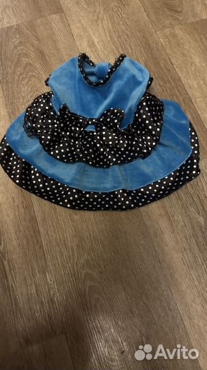 Одежда для маленьких собак