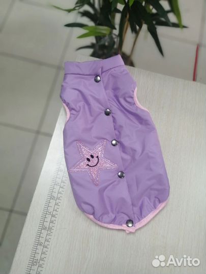 Одежда для собак мелких пород