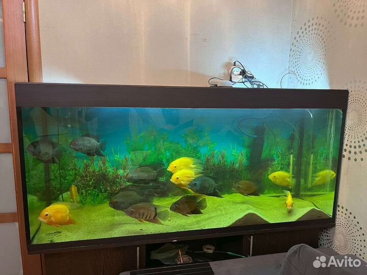 Украшение для аквариума
