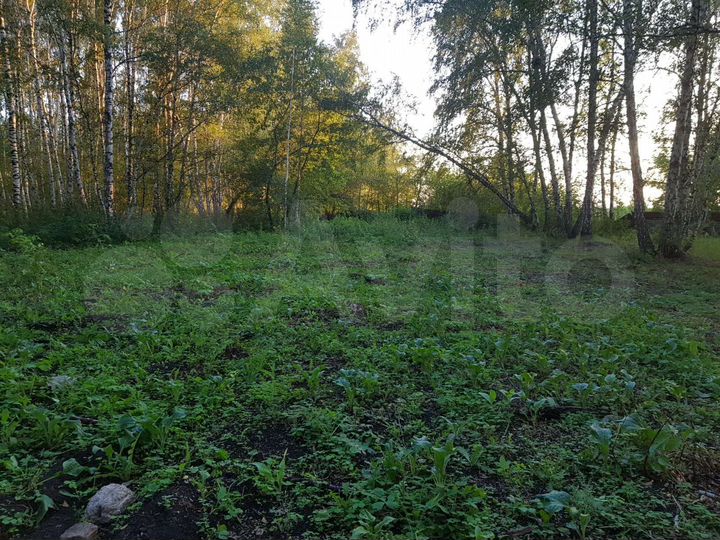 Участок 10 сот. (СНТ, ДНП)