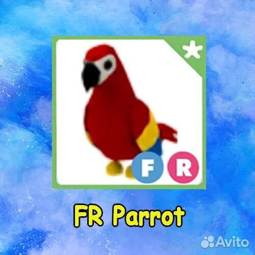 FR parrot adopt ME
