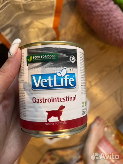 Vet life gastrointestional