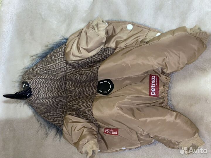 Одежда для собак мелких пород