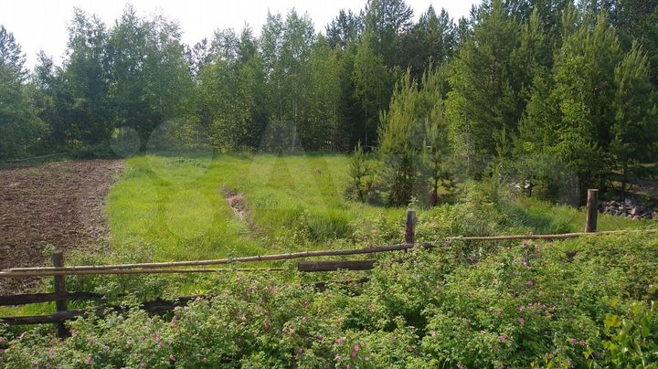 Участок 14,6 сот. (ИЖС)