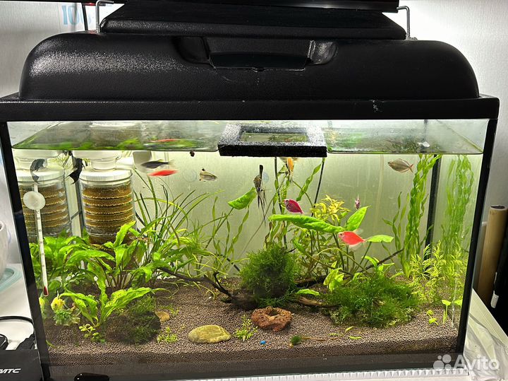 Аквариум на 60 литров с фильтром