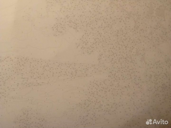 Картина по номерам новая Берёзки летний лес