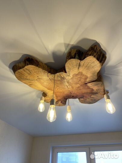 Декоративный спил ели, сосны и других деревьев