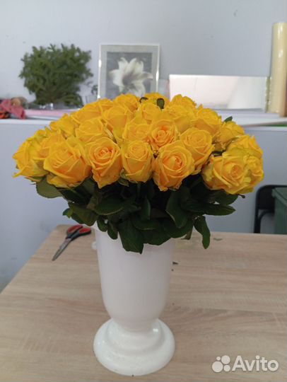 51 роза