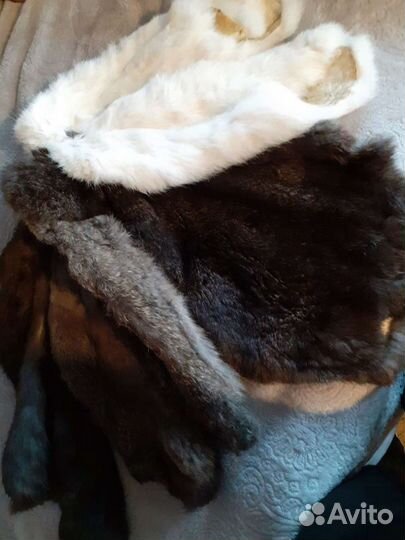 Шкуры кроликов