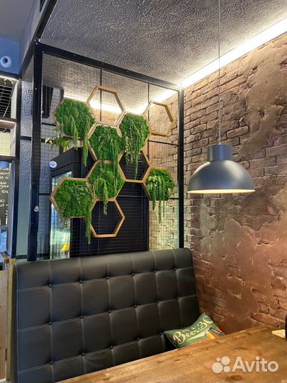 Соты со стабилизированным мхом