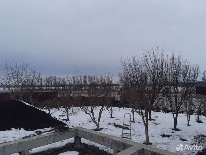 Спил деревьев,обрезка плодовых