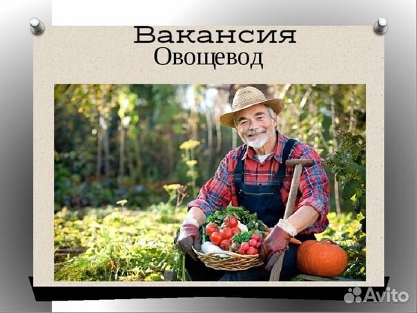 Овощевод в белгород вахта