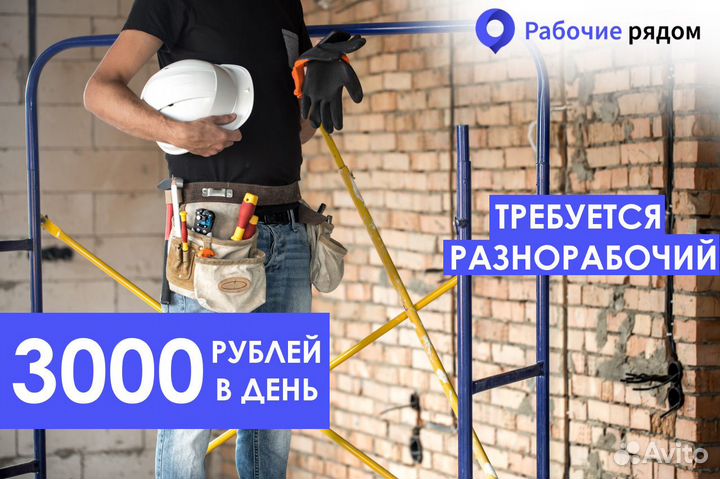 Разнорабочий ежедневные выплаты