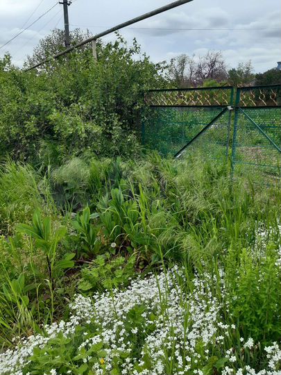 Участок 13 сот. (ИЖС)