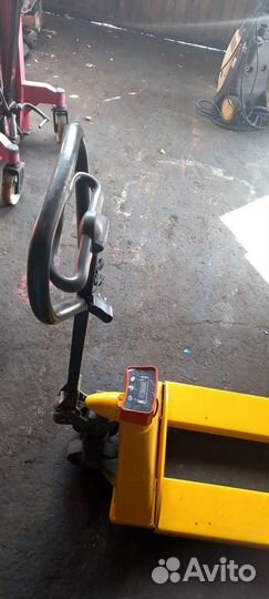 Рохля вессовая