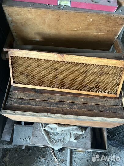 Ульи для пчел