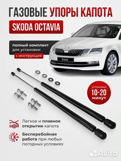 Газовые упоры капота Octavia A7 (2013-2020)