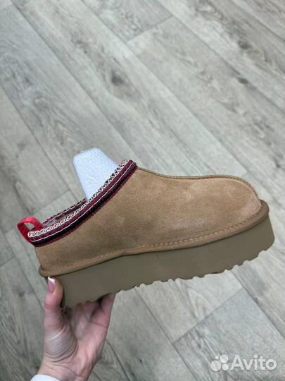 UGG Tazz - Chestnut оригинал