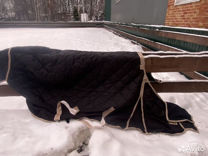 Зимняя попона