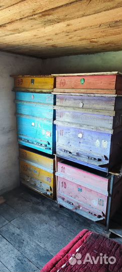 Ульи для пчел