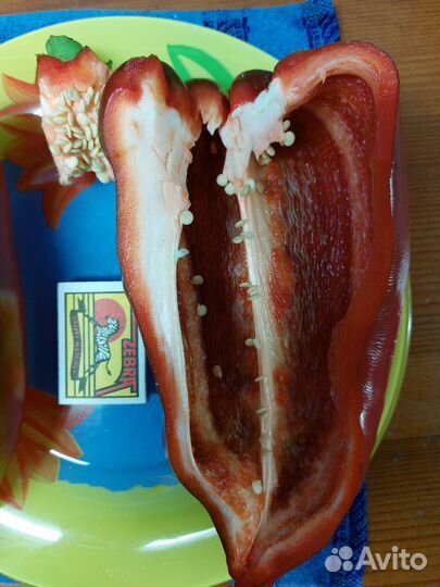 Семена крупноплодного перца Квадро