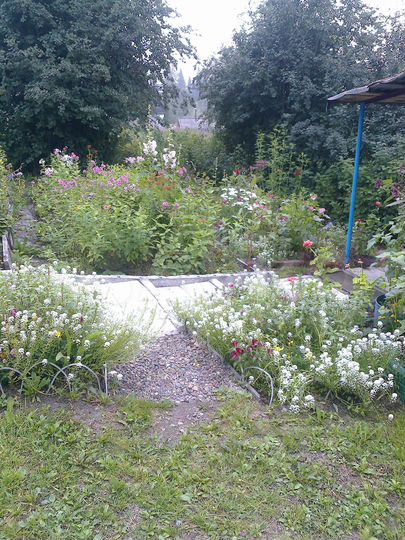 Дача 56 м² на участке 12 сот.