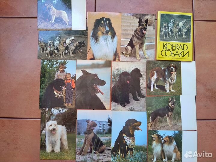 Набор открыток