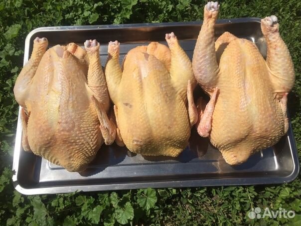 Фермерская тушка кура из Осетии 2.5 кг