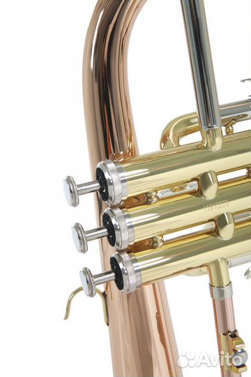 Флюгельгорн Roy Benson FH-302G