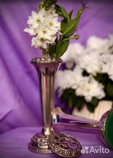 Роузбол малый для цветов