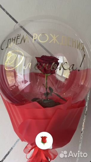 Роза в шаре