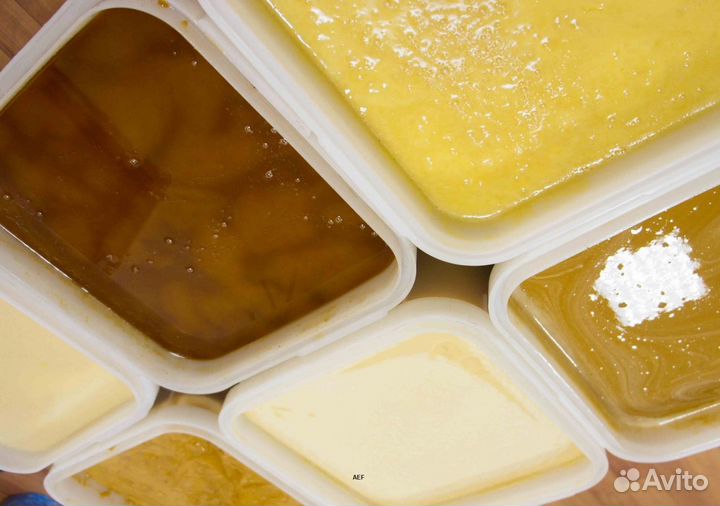 2024 Мёд натуральный с Алтая опт