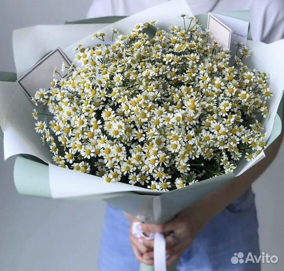 Ромашки Букеты из ромашек