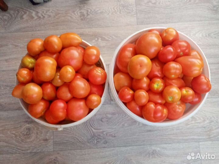 Помидоры