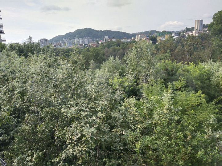 Комната 15 м² в 1-к., 1/2 эт.