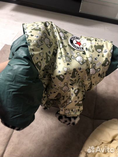 Одежда для собак