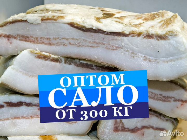 Сало оптом. Грудинка оптом