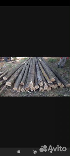 Бревно акации