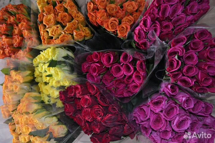 Цветы розы букет кения 25 шт