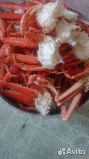 Краб стригун