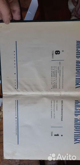 Энциклопедия Жизнь животных