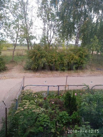 2-к. квартира, 53,3 м², 1/2 эт.