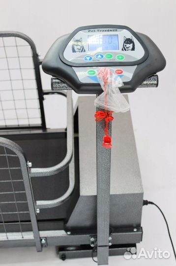 Беговая дорожка для собак