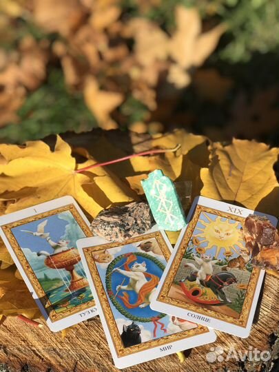 Таролог, Метафорические Ассоциативные Карты