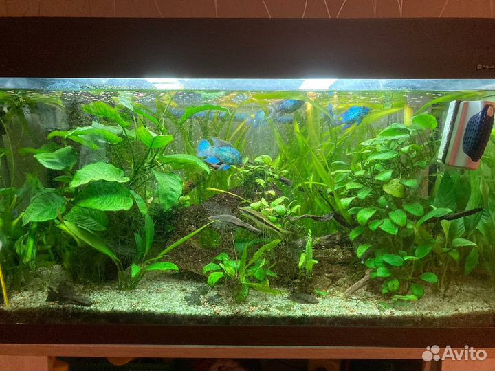 Аквариум 112 литров с тумбой